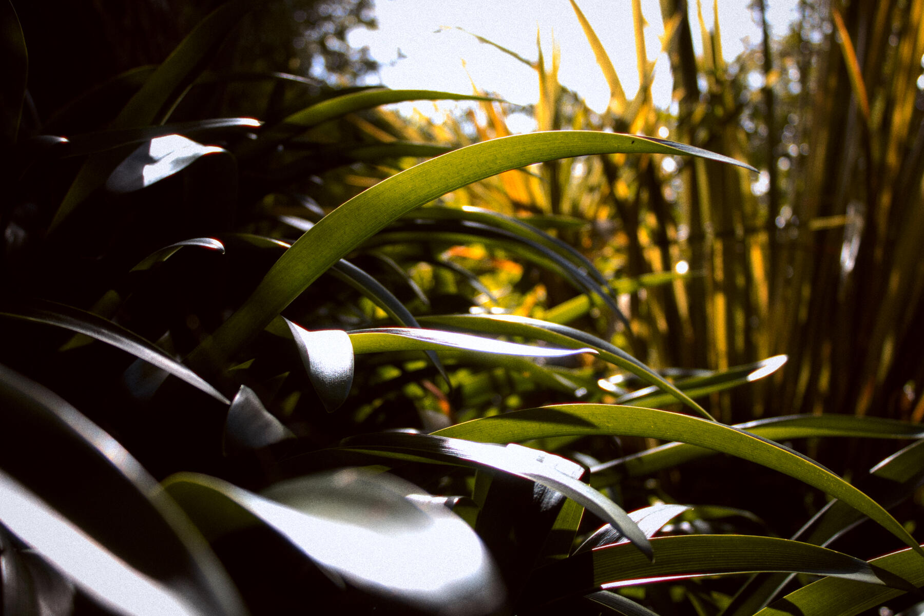 Untitled Untitled