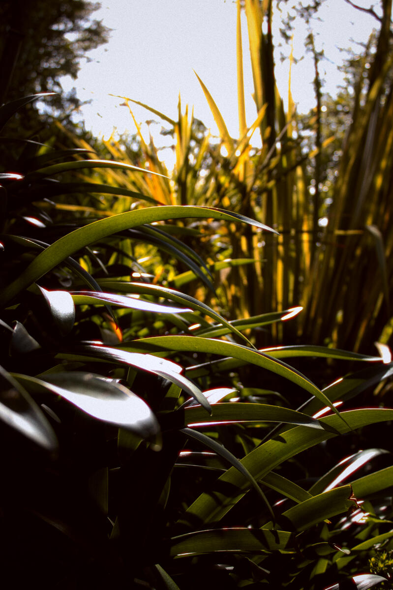 Untitled Untitled